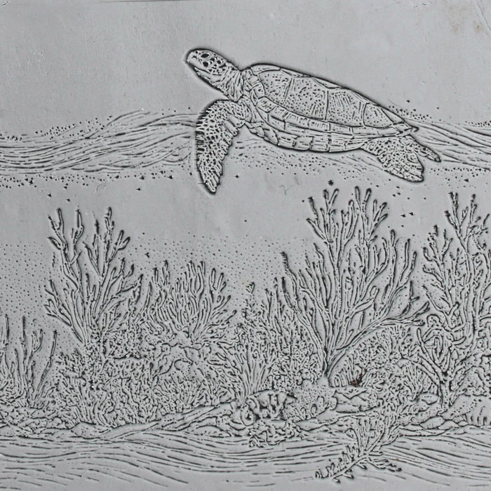 Turtle Reef Passage Roller