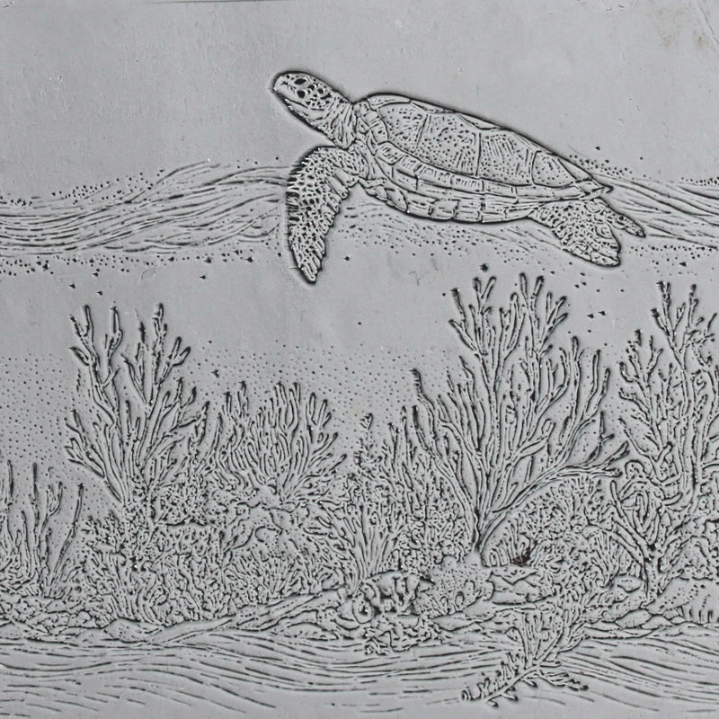 2S0172 B