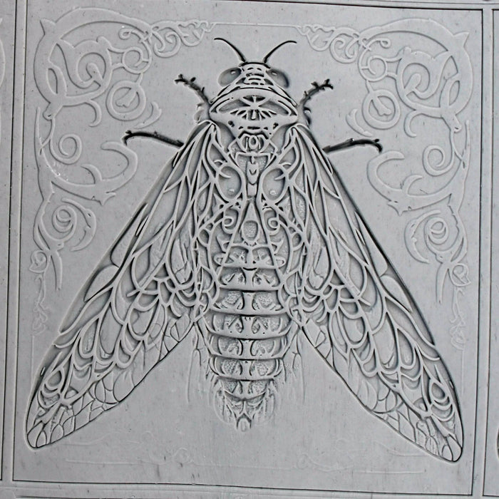 Cicada Roller