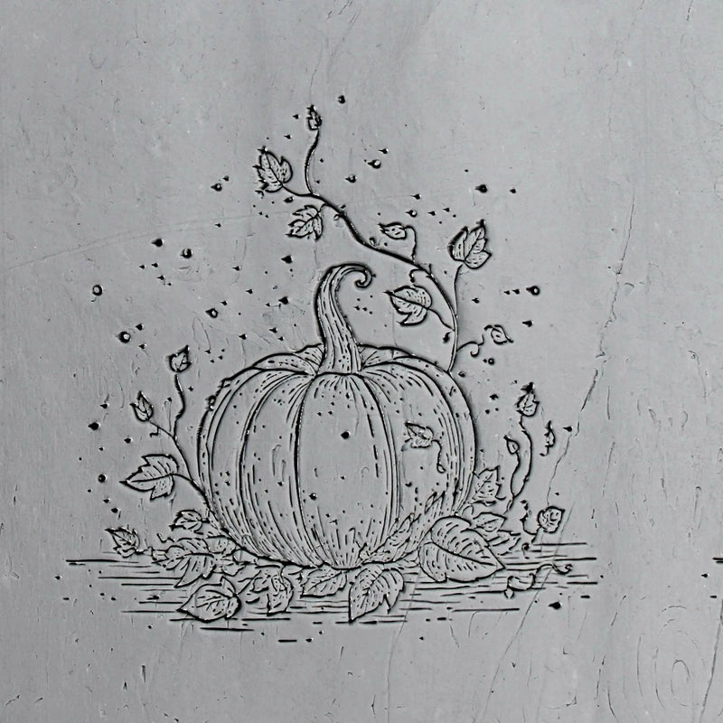 2T0091-B