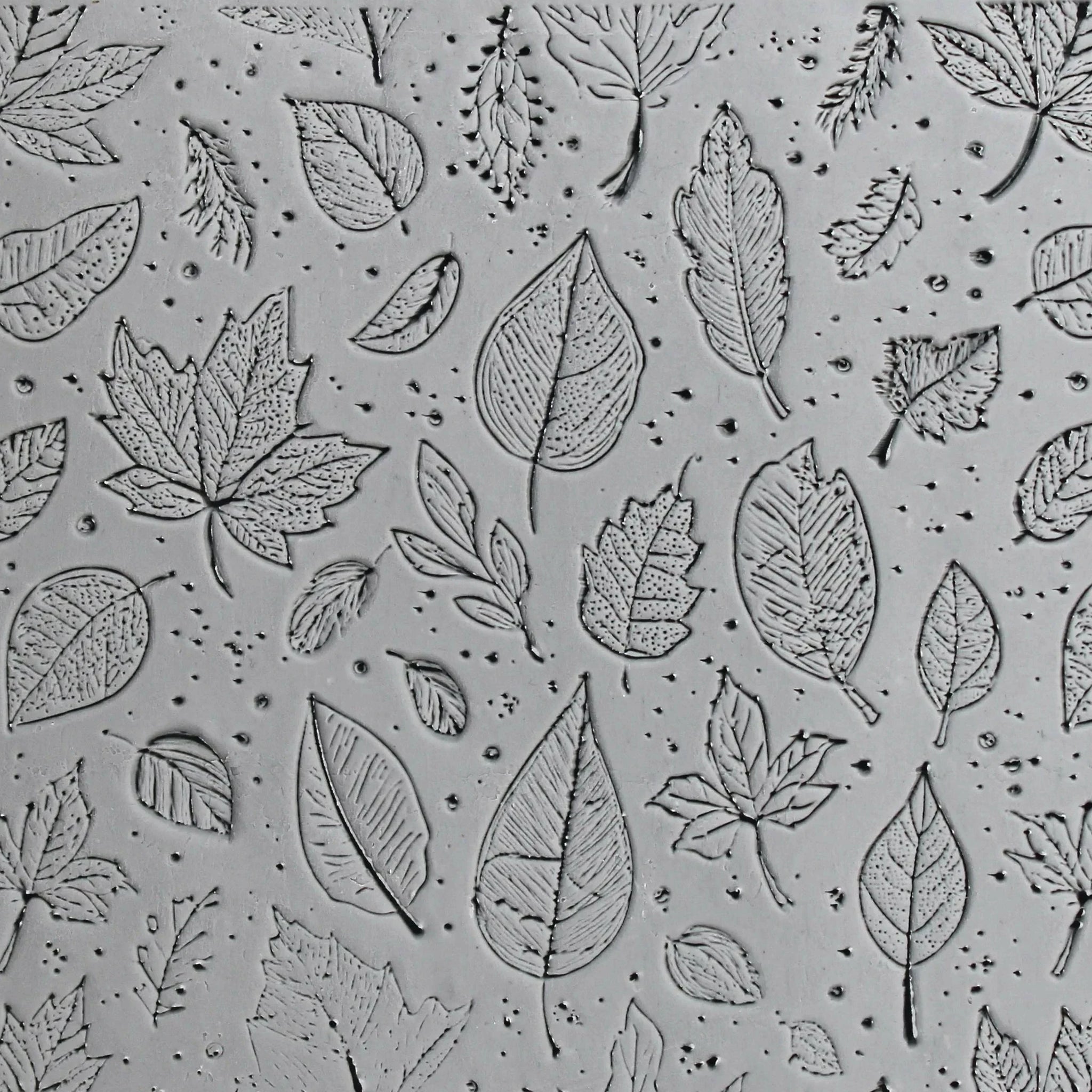 4S0165 B