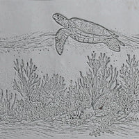 4S0172 B