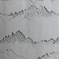 4S0243 B