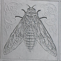 4T0023-B