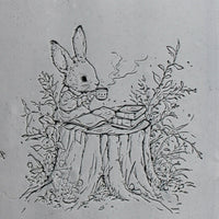 4T0050-B