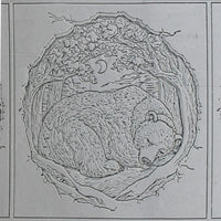 4T0126 B