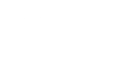 HAVITA
