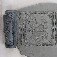 IMG_4875_Cropped
