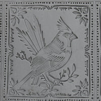 IMG_4876_Cropped