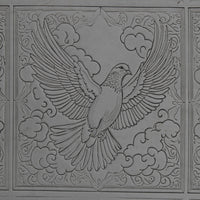 IMG_4881_Cropped