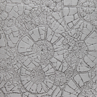 Single Rollers / Petrified Wood / 4