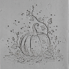 Single Rollers / Pumpkin / 4