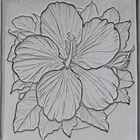 Single Rollers / Hibiscus / 4