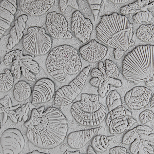 Single Rollers / Tidal Shell Archive