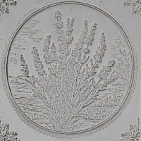 Flower Clay Texture Roller Set #02 - Cottage Blooms & Water's Edge Flowers (4")