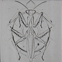 Insect Clay Texture Roller Set #01 - Enchanted & Familiar Insects (4")