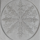 Single Rollers / Snowflake / 4