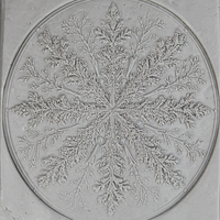 Winter Clay Texture Roller Set #01 - Winter Woods & Frosty Retreat (4")