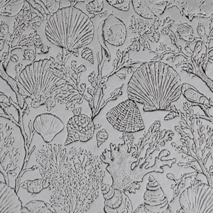 Single Rollers / Shellscape Study