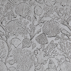 Single Rollers / Shellscape Study / 4