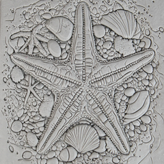 Single Rollers / Starfish