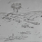 Single Rollers / Shoreline Palms / 4