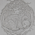 Single Rollers / Hibernating Bear / 4