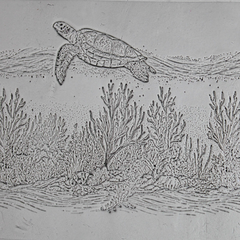 Single Rollers / Turtle Reef Passage