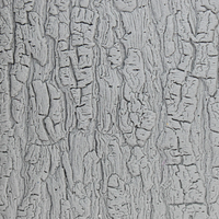 Seamless Clay Texture Roller Set #01 - Natural & Timeless Patterns (4")